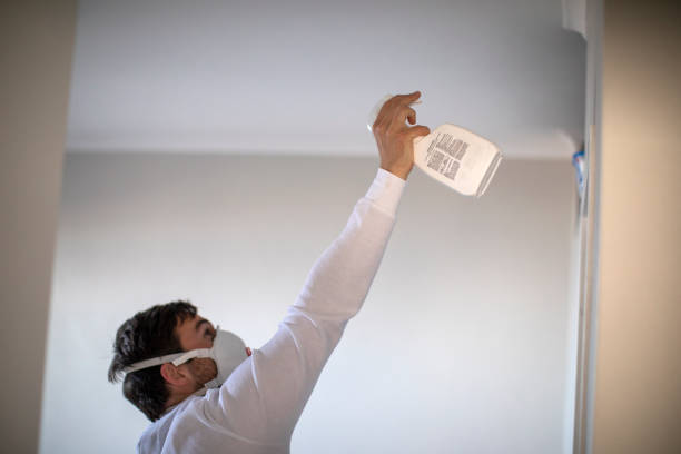 Best Black Mold Remediation in Paradise Valley, AZ
